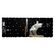 Tastatura compatibila HP ProBook 430 G6, 430 G7, 435 G6, 435 G7, Layout US, cu iluminare